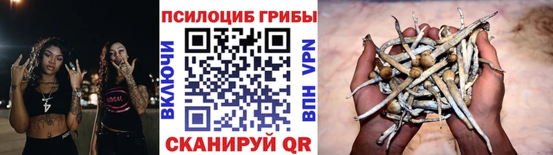 Псилоцибиновые грибы Magic Shrooms  Темрюк 
